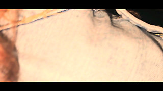 Cowboy Gangbang, Anal