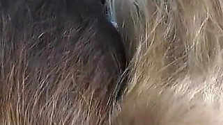 Hair blowjob with Melody Pleasure and Kimberly