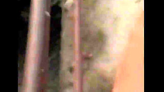 Twink Piss From the Bridge Into the River