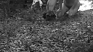 Pet Girl Obedience Training