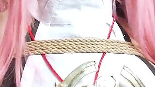 The Shame of the Holy Maiden