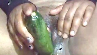 Today, Indian Bhabhi Quenched Her Desire by Inserting a Cucumber Into Her Pussy