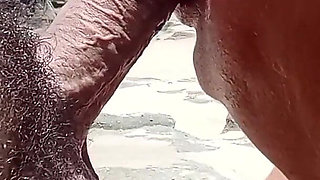 In the Beach From Brazil