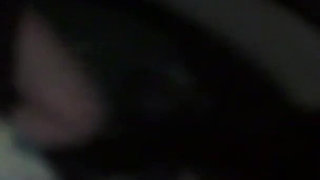 Curvy Wife Slut MILF Carly Loves to Go Dogging and Suck off Perverted Swingers