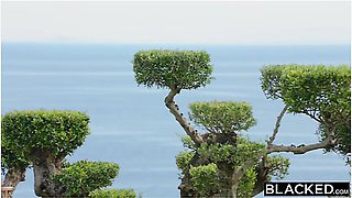 Bosslady Milf Brandi Takes On 2 Bbcs At Hotel With Brandi Love