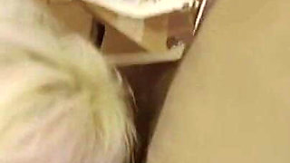 A Family of Sound Principles Vol 2