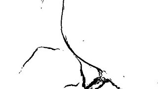 Desi Aunty Sexy Aunty Big Ass Aunty Kolkata Aunty Local Aunty Pussy Aunty Big Aunty Hard Core