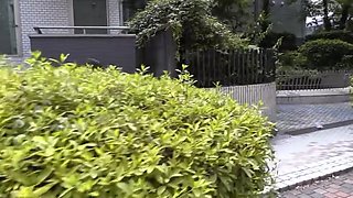 x2xEBBBBBCD88643777C3