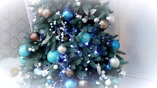 A Christmas Surprise for You, Our Dear Fans and Subscribers