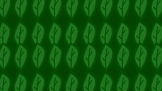 Total Drama Harem - Part 4 - Courtney Solo by Loveskysan