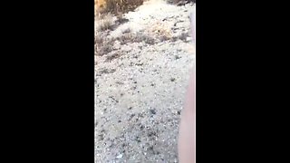 Sucking Dick on the Beach