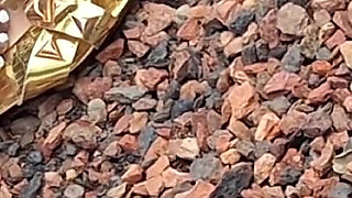 Essence Feet on Convention Center Blvd