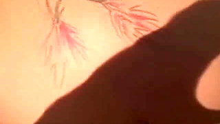 Sexxy Brandon: Outdoor Bone: Part 2