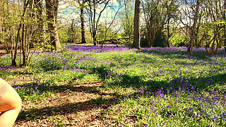 Queen Kylie of the Bluebells