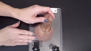Clearing the Urethra Results in Copious Sperm Flow