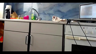 Sexydea Flashing Boobs on Live Webcam