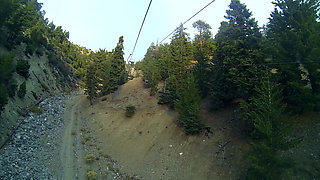 Lesbian Utopia: Lesbians 6