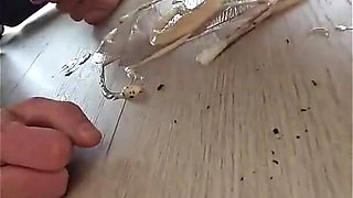 Dirty Games Slave! Total Garbage Disposal for Dominant Girls!