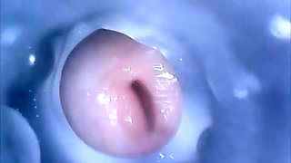 CD Mitch Inside Cum