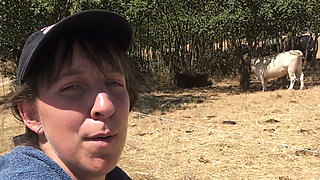 Couple fucks in the sunflower field