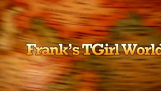 FRANKS TGIRLWORLD   Shak It Easy
