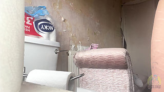 Honks on the Toilet