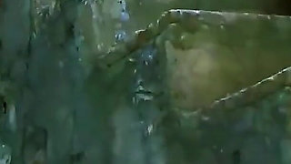 Teen Damaris with big boobs is taken hard by step brother in the forest