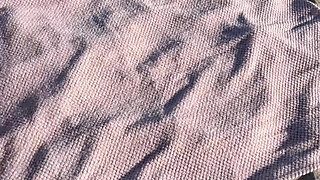 Coconuts and Cruising with Malina Melendez