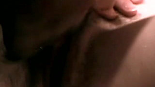 Classic Porn Dvds: the Jade Pussycat: Part 2