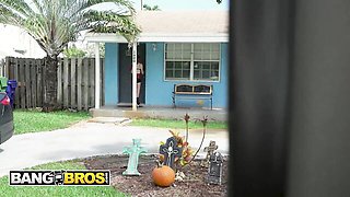 Bang Bros Network - blowjob dirt