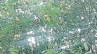 Outdoor Masturbation and Pissing