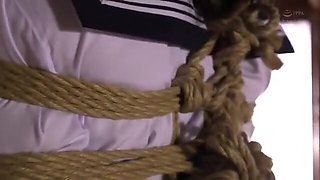 160-season-ending-who-udr