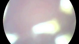 Inside a deflowered 18+ year old hairy cunt.