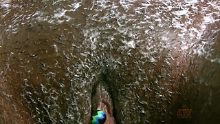 Shaving