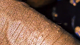 Indian  wife sucking husband dick. Plowjob.