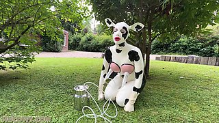 Latex Hucows' Outdoor Fetish Passion in Heat