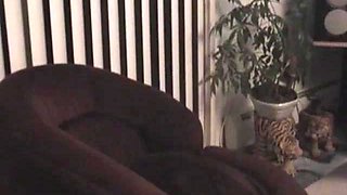 Blow Me Straight Boy Enrique