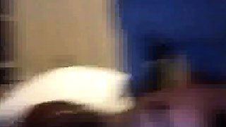 Amateur milf outdoors blowjob and fucking