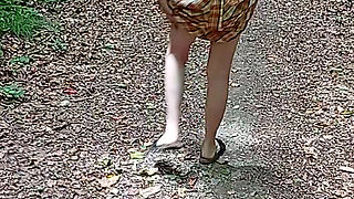 I walk in the forest 1