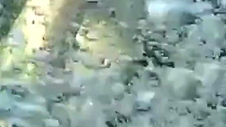 Swimming and Flashing in the Sea