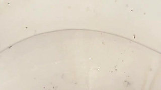 Licking Dirty Floor and Toilet, Flashing Head in It