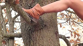 Piss in Tree