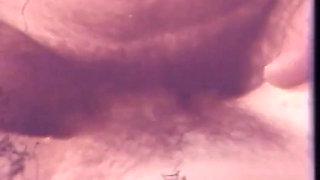 Vintage hairy pussy enjoyed a big cock