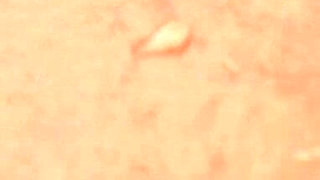 Spring Can Come, with Tits, Ass and Pussy