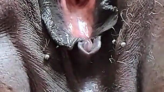 My Big Black Fat Gaping Cunt