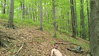 I Chase Him Through the Leaves