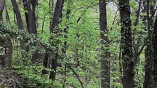 Little Naked Walk in the Forest
