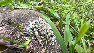 I Never Thought My Stepcousin Would Do This