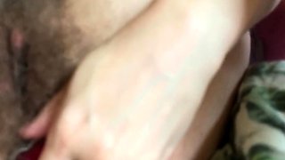 Fox Hairy Dream
